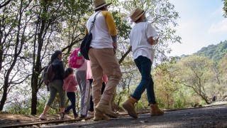 Invita SEDEMA a caminar por las áreas naturales protegidas de la Ciudad De México