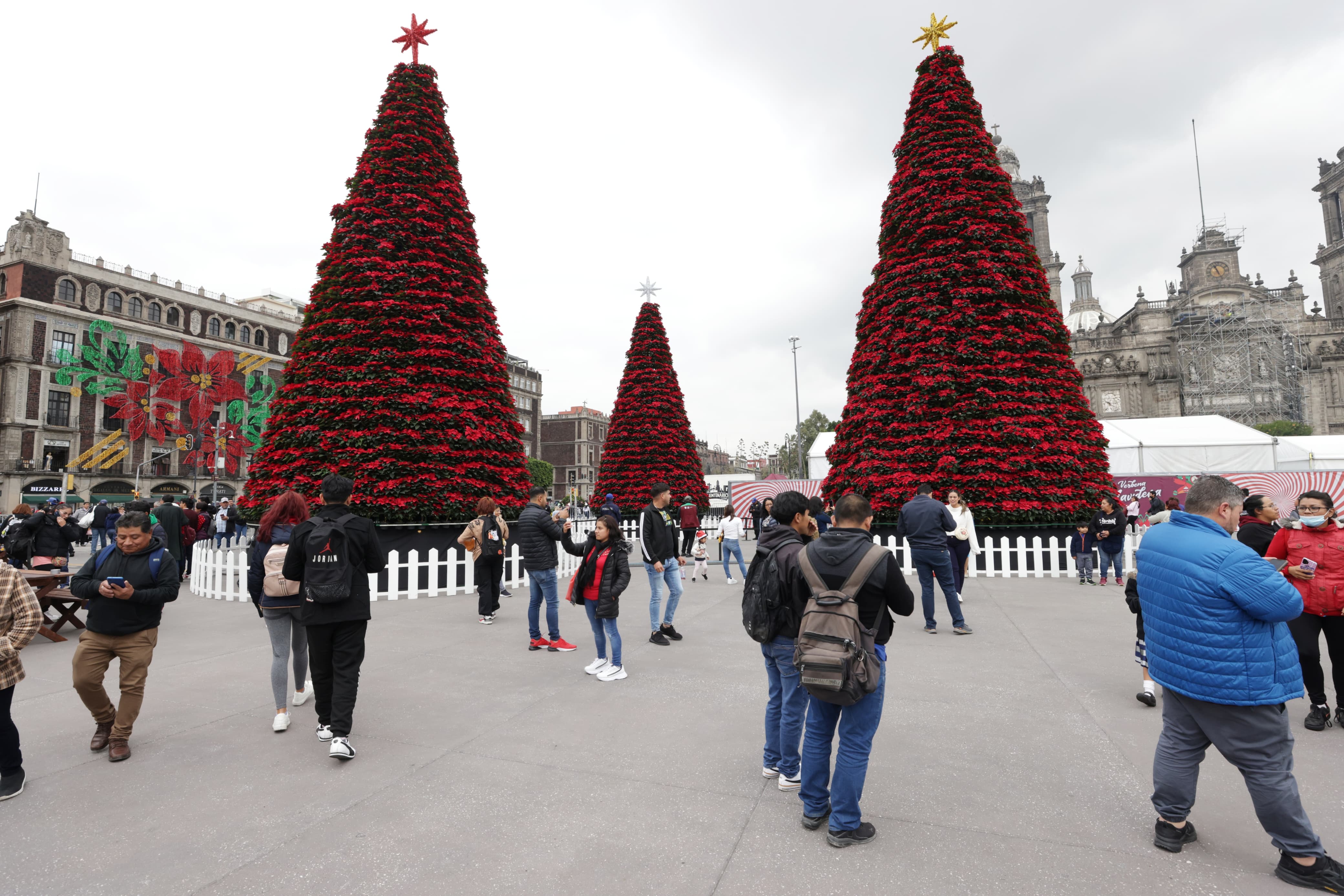 WhatsApp Image 2023-12-16 at 1.39.17 PM (2).jpeg