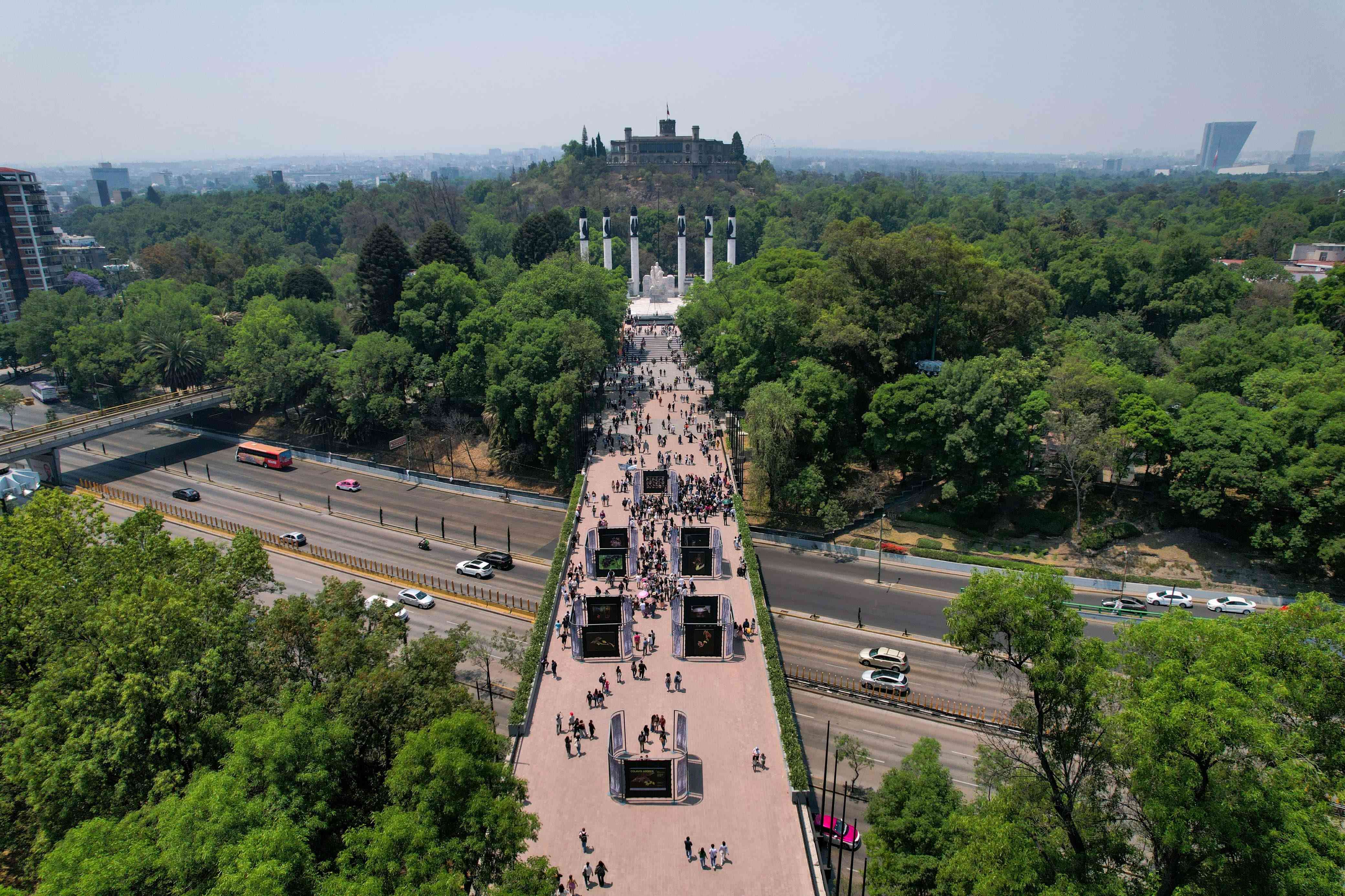 FOTO-  APERTURA DE QUIRÓPTERA, FESTIVAL DEL BOSQUE DE CHAPULTEPEC 2024 (6).jpg