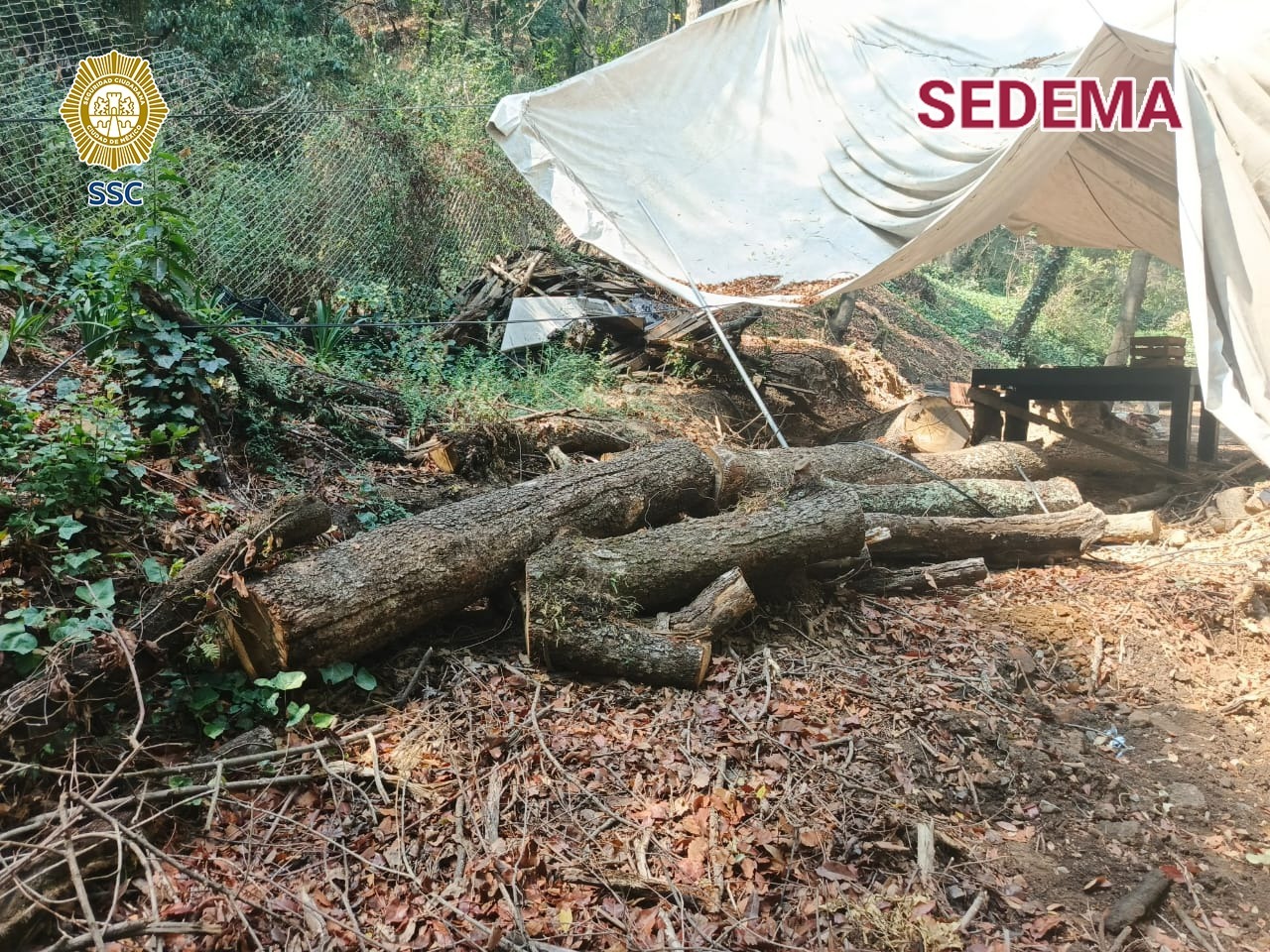 FOTO (3).jpeg