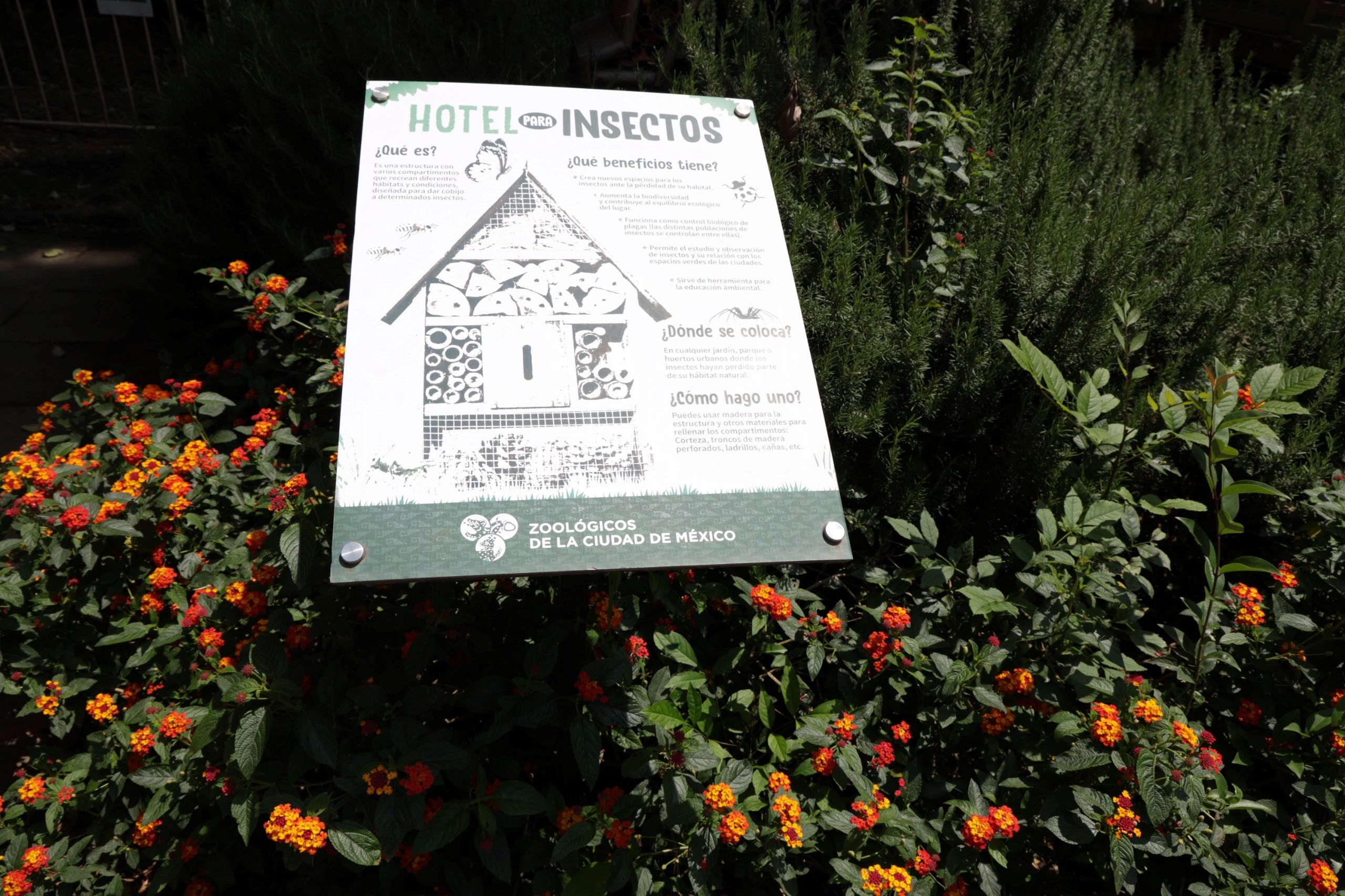 CHAPULTEPEC (2).jpg