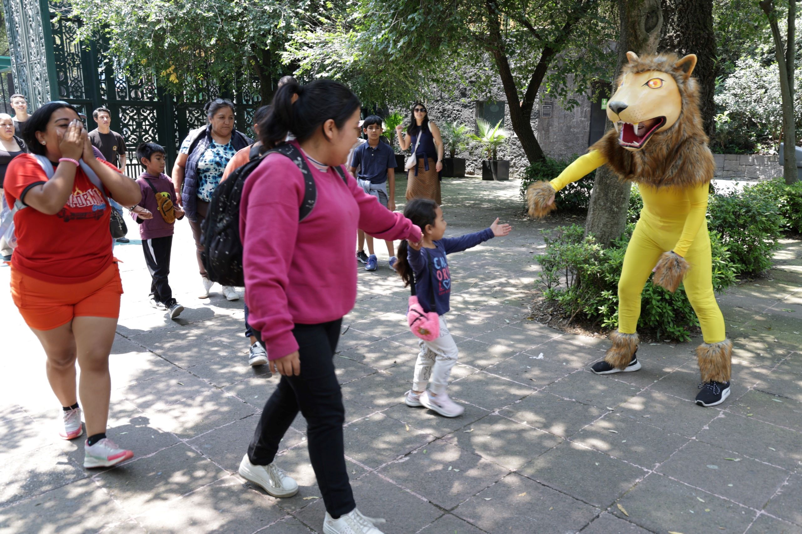 CHAPULTEPEC (3).jpg