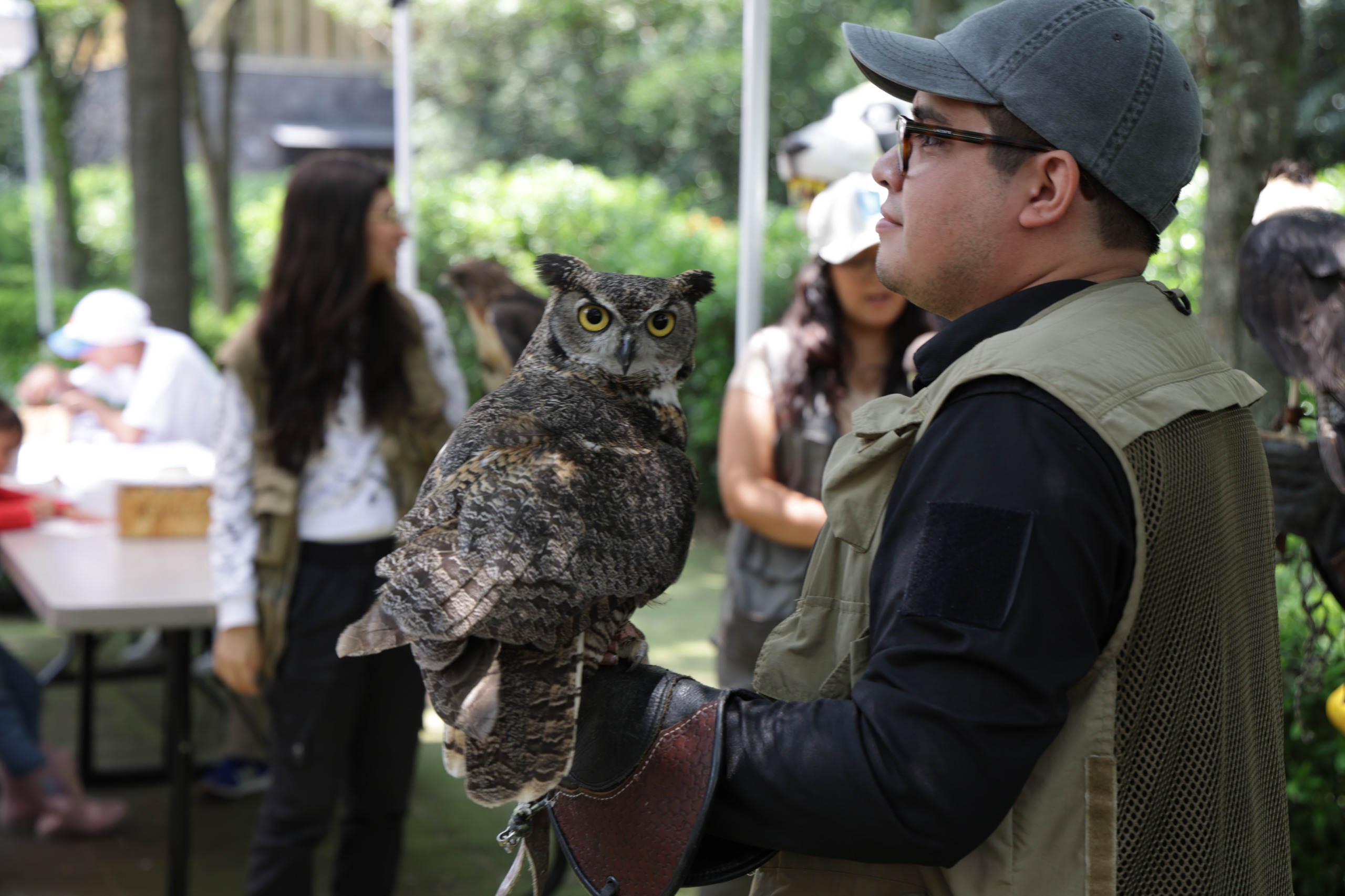 CHAPULTEPEC (8).jpeg