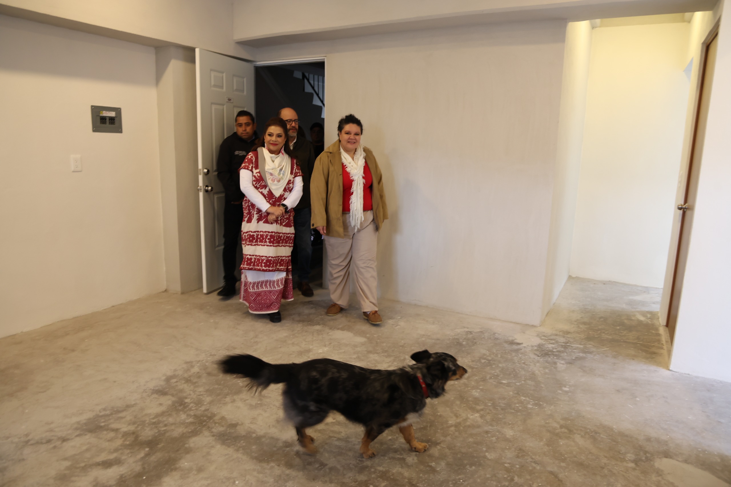 WhatsApp Image 2025-12-30 at 12.00.48 PM (1).jpeg