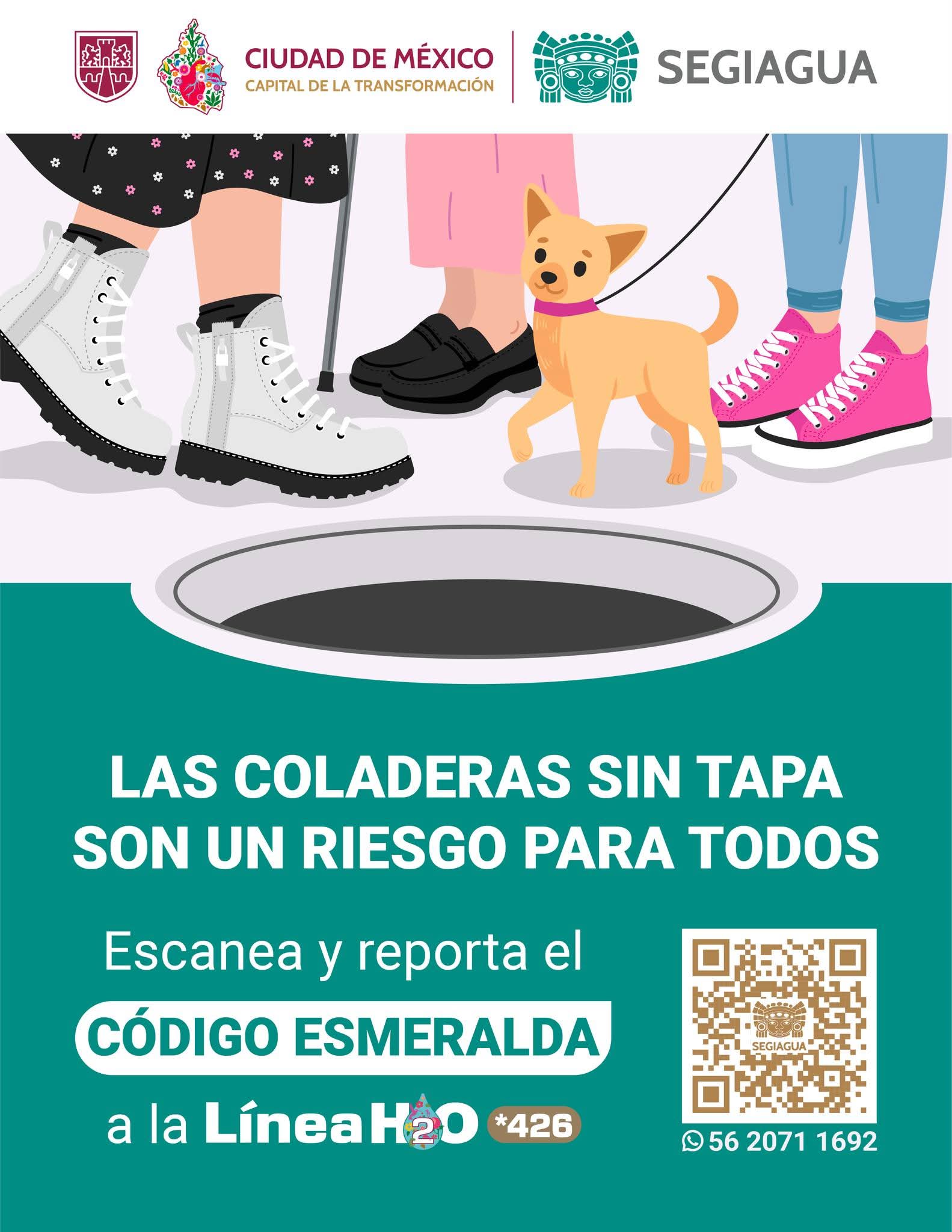 FB_IMG_1767295695536 (1).jpg