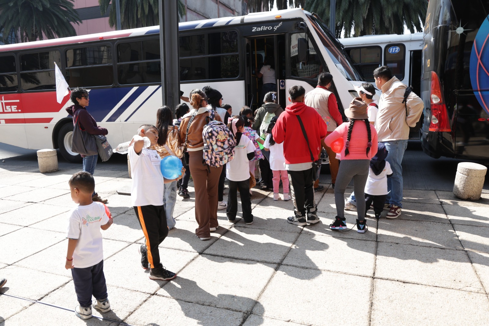 COLIBRÍ VIAJERO (16).jpeg